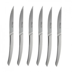 Wood box of 6 Thiers knives stainless steel handle