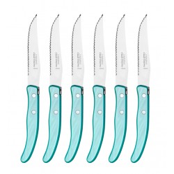 Wood box of 6 Berlingot knives resin handle