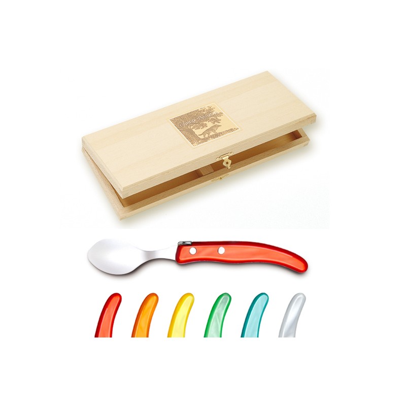 Wood box of 6 Berlingot coffee spoons mix coloured resin handle Wood box of 6 Berlingot coffee spoons mix coloured resin handle
