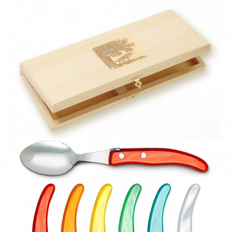 Wood box of 6 Berlingot soup spoons mix coloured resin handle