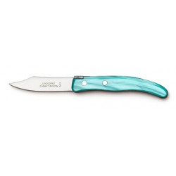 Berlingot small vegetable knife in resin handle