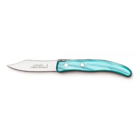 Berlingot small vegetable knife in resin handle