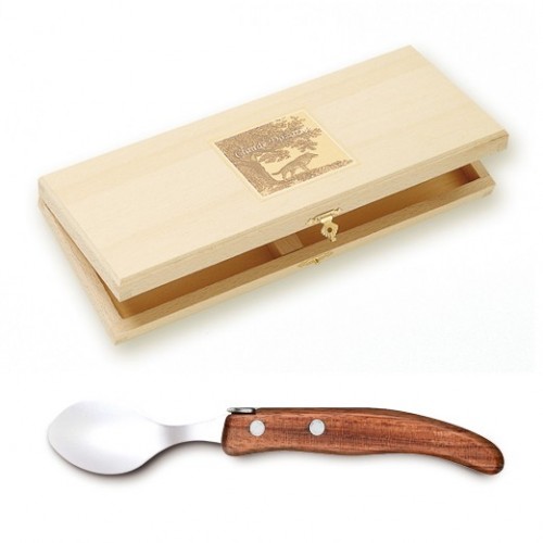Wood box of 6 Berlingot coffee spoons resin handle