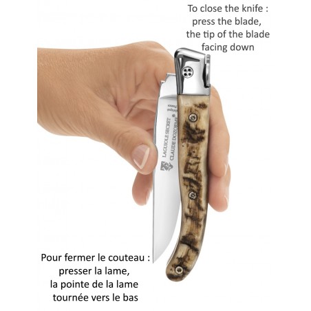 Laguiole Secret manche corne (corne claire ou bélier) Laguiole Secret manche corne (corne claire ou bélier)