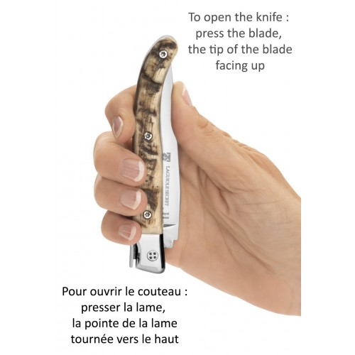 Laguiole Secret manche bois