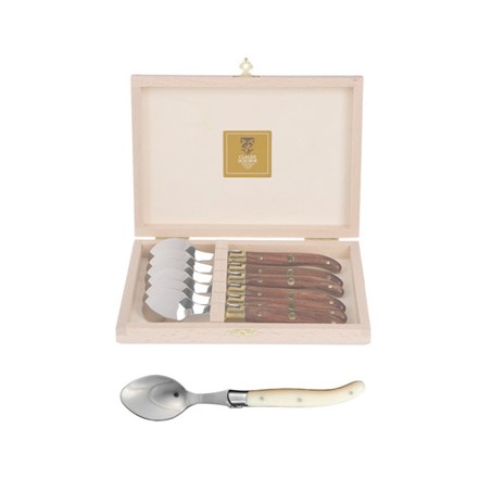 Wood box of 6 Laguiole coffee spoons stainless steel bolster resin handle