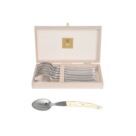Wood box of 6 soup spoons Le Thiers® resin handle