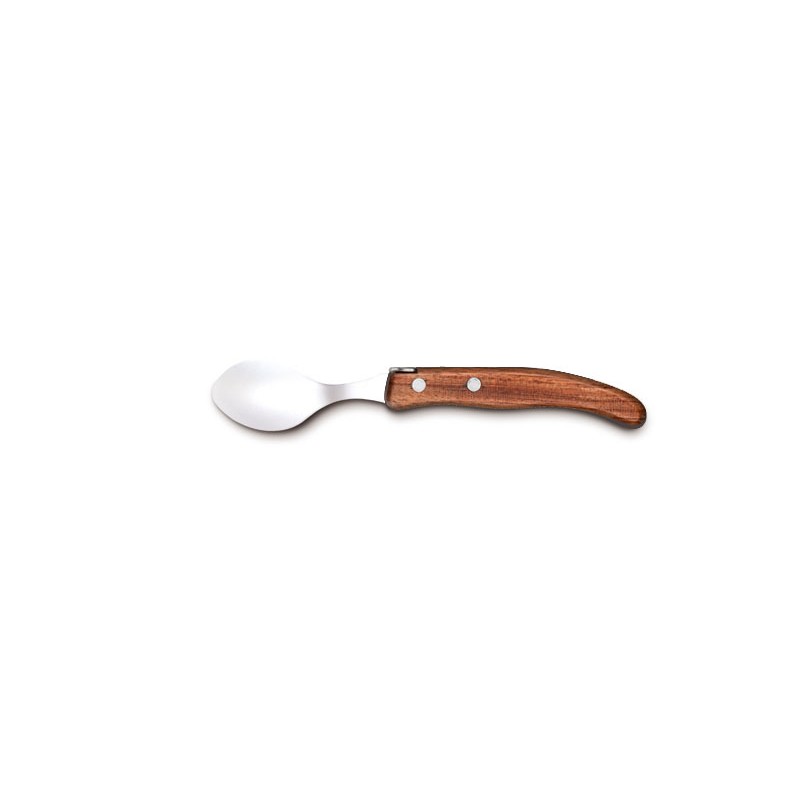 Berlingot coffee spoon in wood handle Berlingot coffee spoon in wood handle