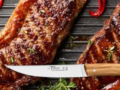 How to choose your steak knife ?